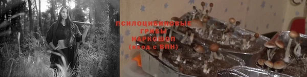 стафф Липки