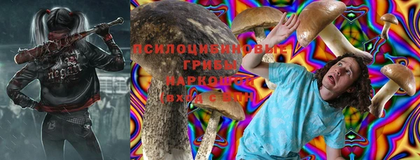 a pvp Лиски