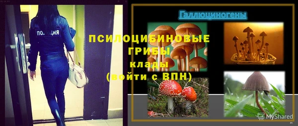 a pvp Лиски